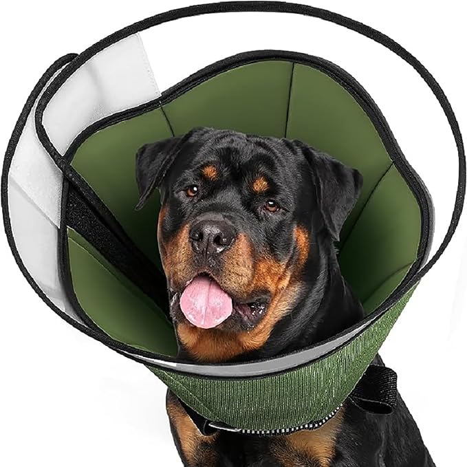 Stop Licking Protective Collar Wounds Dog Collar Health Medicals for Large Media Canines Post Surgeries Dog