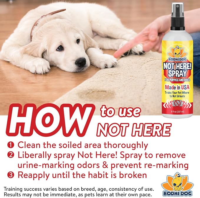 Bodhi Dog Not Here Spray - Trains Pets Where Not To Pee - Dog & Puppy Potty Training Spray to Stop Marking & Urinating Indoors or Outdoors - Safe for Furniture, Carpet & Floors - Made in USA (8 Fl Oz)