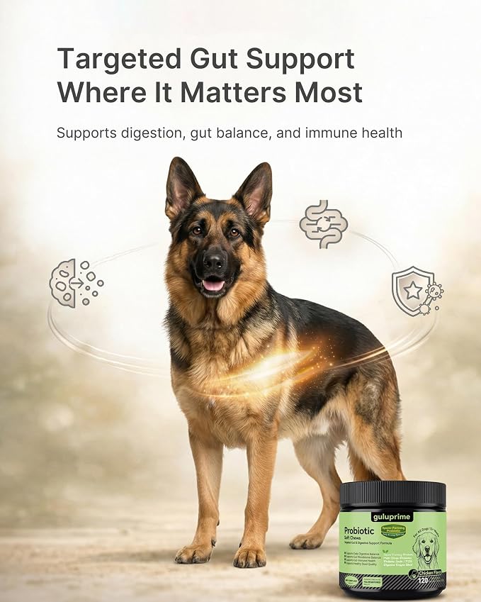 Dog Probiotics & Multivitamin Bundle, 240 Chews