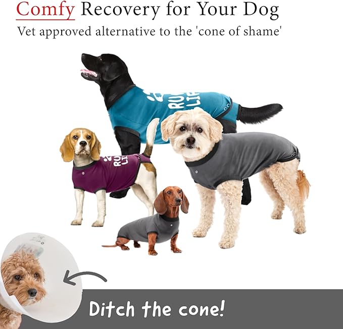 BellyGuard Dog Surgery Recovery Suit, Post-Op Dog Recovery Suit for Female Spay & Male Neuter, Comfy Onesie for Pets, Surgical Body Cover for Canine Healing Support
