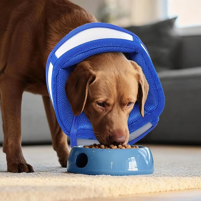Dog Recovery Collars & Cones, Large Dog Cone, Blue, XL | Adjustable Dog Soft Cone, Stop Licking Wounds After Surgery & Skin Disease, Lightweight, Comfortable Elizabethan Collar