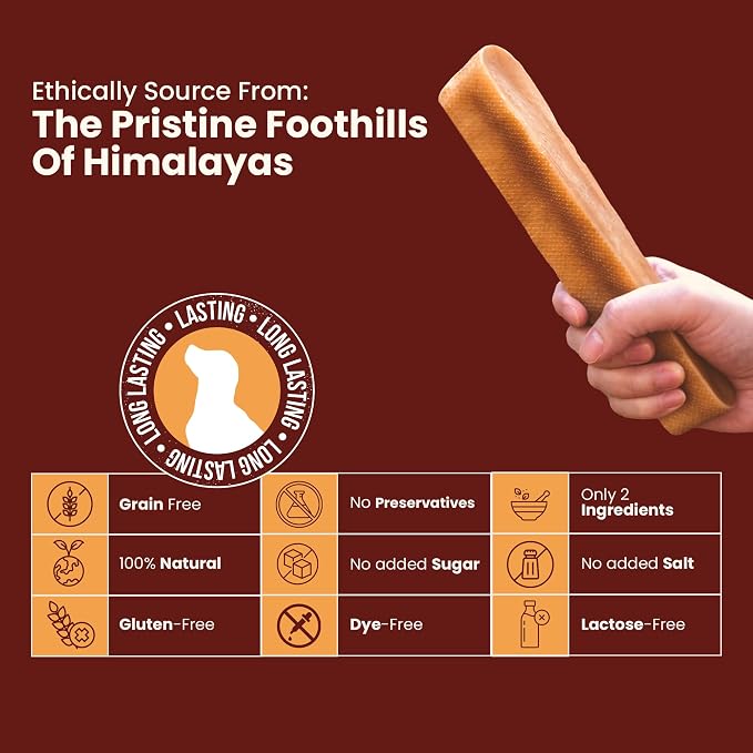 KATHMANDU'S Authentic 100% Natural Himalayan Yak Cheese Dog Chews – Large (Pack of 4) | High Protein, Delicious & Long-Lasting Dog Treats for Aggressive Chewers | Odor & Gluten Free Chews