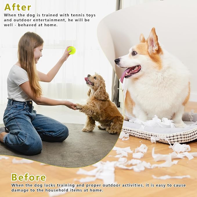 Magicorange Small Tennis Balls, 40 Pack 2 inch Tennis Balls for Dogs, Colorful Easy Catching Pet Dog Playing Ball (Yellow,40 Pack)