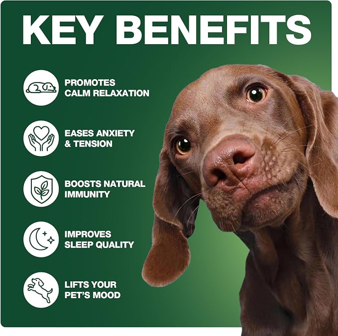 Calming Chews for Dogs, Soft Chews Treats Helps with Anxiеty Rеlief, Separation, Barking, Fireworks, Travel, Composure, Travel