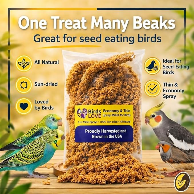 9 oz Spray Millet for Birds – GMO-Free, No Stems (Only Edible Tops) – 100% Natural Sun-Dried Foraging Treat for Cockatiels, Lovebirds, Parakeets, Finches & Canaries