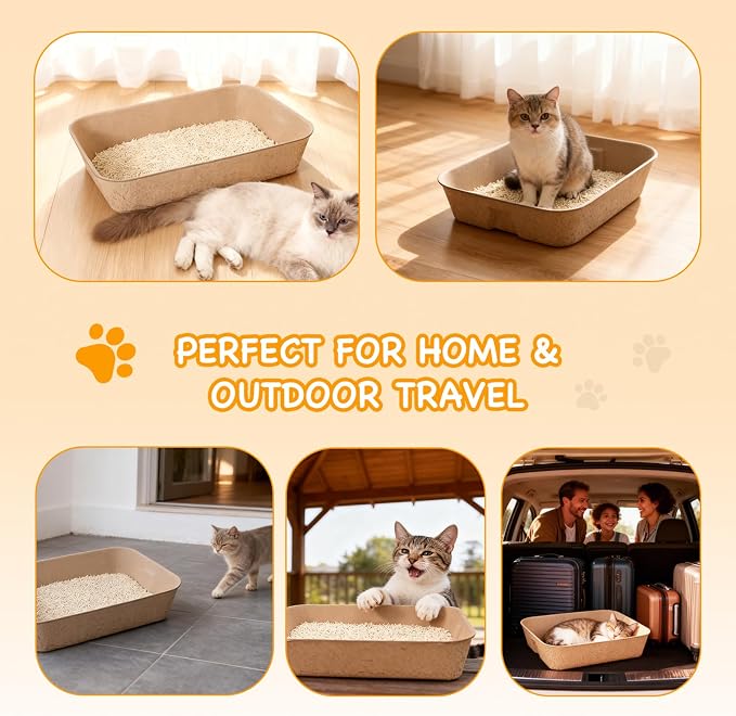 Disposable Litter Boxes for Cats, Durable and Water Resistant, Sustainable Large Disposable Litter Box, Disposable Cat Litter Boxes for Indoor/Travel Use, Standalone or as Liner (Brown, Large 5-Pack)
