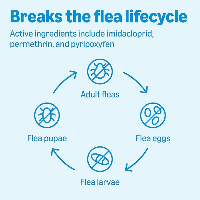 Amazon Basics Preventative Flea, Tick & Mosquito Topical Treatment for Medium Dogs (11-20 Pounds), Kills Fleas, Prevents Infestations, 4 Count, Packaging May Vary