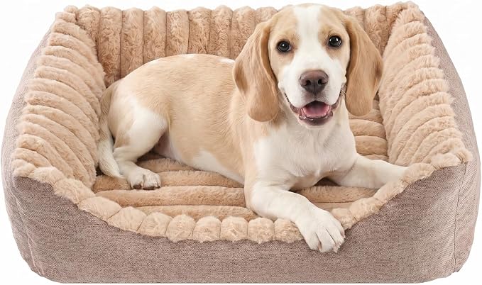 Avont Supportive Dog Bed for Small Medium Dogs, Plush Foam Fill, Camel | Removable Machine Washable Cover, Low 5.12" Entry for Pups & Seniors, 7:3 Foam-PP, Non-slip Bottom, Hidden Chew-proof Zippers