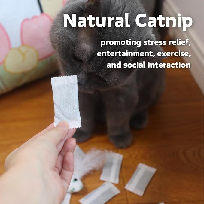 CECE PAW Carrot Treat Puzzle + Lick Mat + Catnip