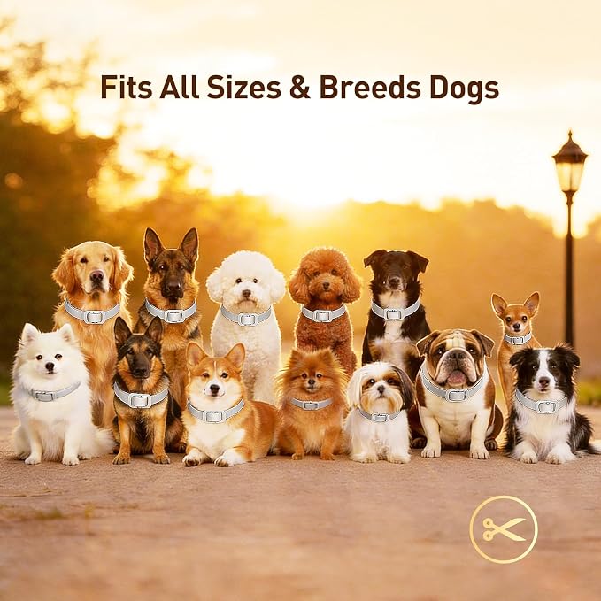 Flea and Tick Collar for Dogs 4 Packs,Dog Collars with Natural Essential Oils,Waterproof, Adjustable for Small Medium Large Dogs,Safe for Puppies (Gray)