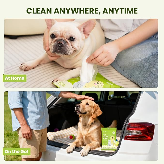 Hypoallergenic Pet Wipes for Dogs & Cats – Quick Clean & Deodorize Paws, Butt, Eyes, Ears, Face & Fur | Daily Grooming After Walks and Between Baths | Extra Large & Thick | Coconut Scented, 100 Count