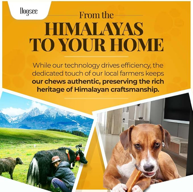 Dogsee Himalayan Yak Chews with Turmeric/Curcumin (Monster/XL- 3 Chews), 60% Protein Yak Chews for Large Dogs, Dog Treats, Helps Joint Pain, Rawhide-Free, Long Lasting for Dogs Over 55 lbs