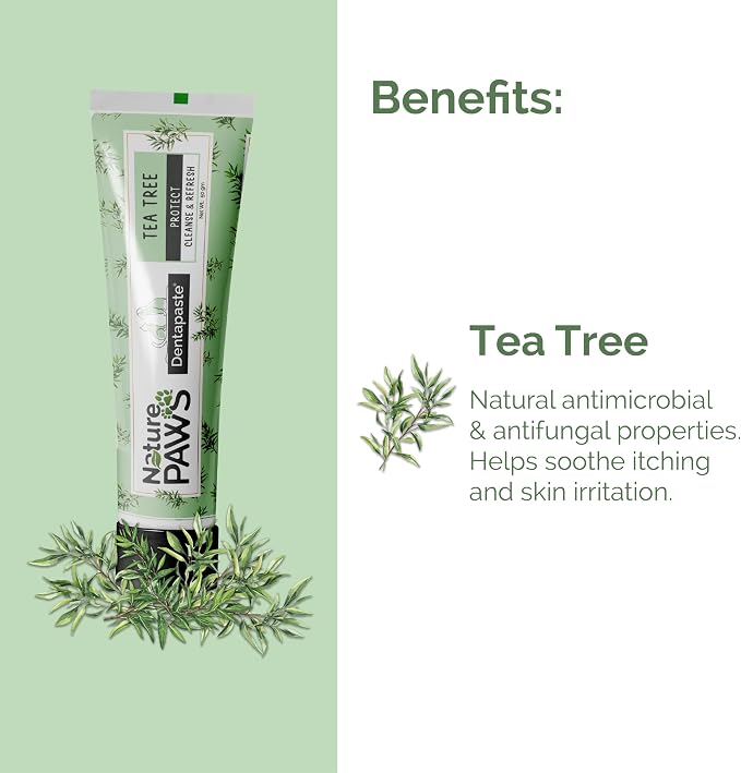 Tea Tree Oil So Strong Dental Care Dentapaste with Brush for Dogs & Cats 50gm