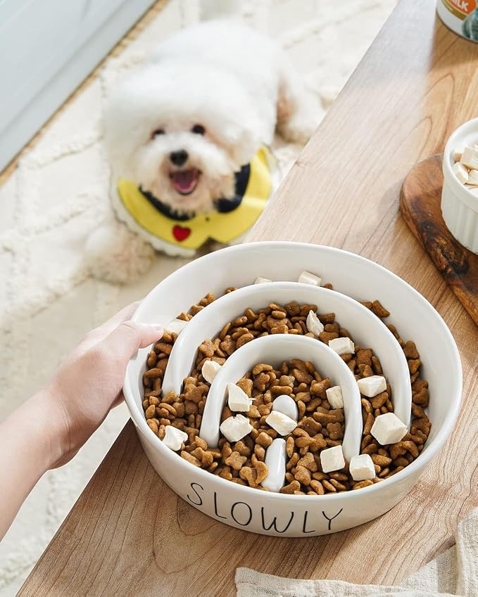 LE TAUCI PET Ceramic Slow Feeder Dog Bowls Elevated for Small and Medium Breed with Wooden Stand, 1.5 Cups Dog Dishes to Slow Down Eating, Anti-Gulping Pet Feeding Dishes,White