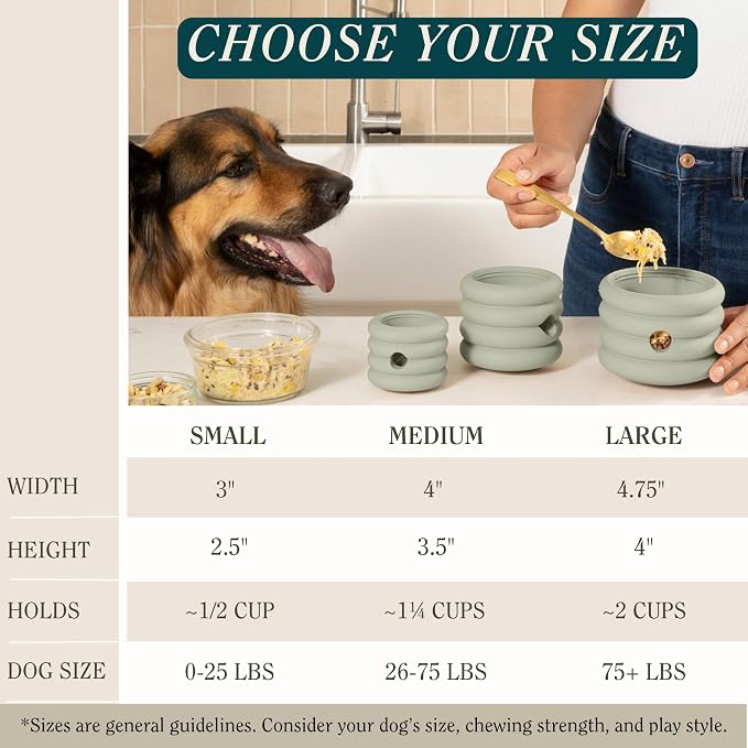 Should We Go? Interactive Dog Enrichment Toy with Freezer Plug, BPA-Free Silicone Puzzle Dog Freeze Bowl & Treat Dispenser for Mental Stimulation, Ideal for Kibble & Frozen Licks, Fits 3 oz, Small