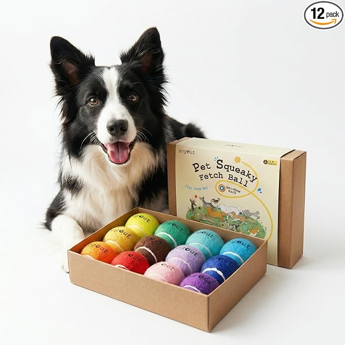 Squeaky Fetch Balls for Dogs, Rainbow Dog Ball Box, Multicolor Tennis Balls for Dogs, 12 Count Gift-Ready Set, 2.5 Inch Large
