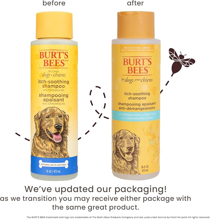Burt's Bees for Pets Itch Soothing Shampoo with Honeysuckle, 95% Natural Origin, Dog Shampoo for Itchy Skin Relief, pH Balanced, Free of Sulfates and Parabens, 16 Fl Oz