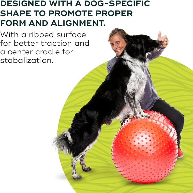 FitPAWS Traxpeanut Dog Training Accessory 50 cm