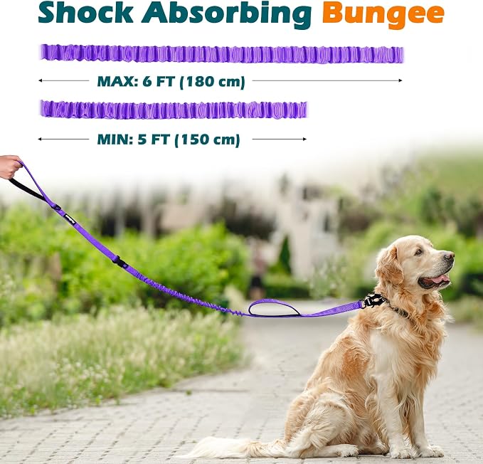 PetBonus Heavy Duty Tactical Dog Leash and 2-Pack Large Silicone Collapsible Dog Bowls
