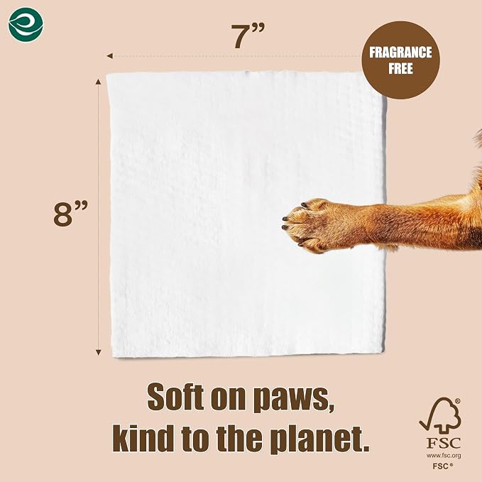 ECO SOUL Pet Wipes for Dogs & Cats, Unscented Large Cleaning Wipes with Aloe Vera & Jojoba Oil | (100 Count Each, Pack of 4)