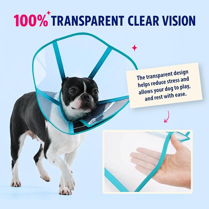 Soft Neck Pad - Hard Plastic Dog Surgery Recovery Cone Collar, Clear Vision Cone for Dogs to Stop Licking, Comfy Dog Cones for Large Dogs, Extra Long Elizabethan Collar for Labrador, Blue-Green L