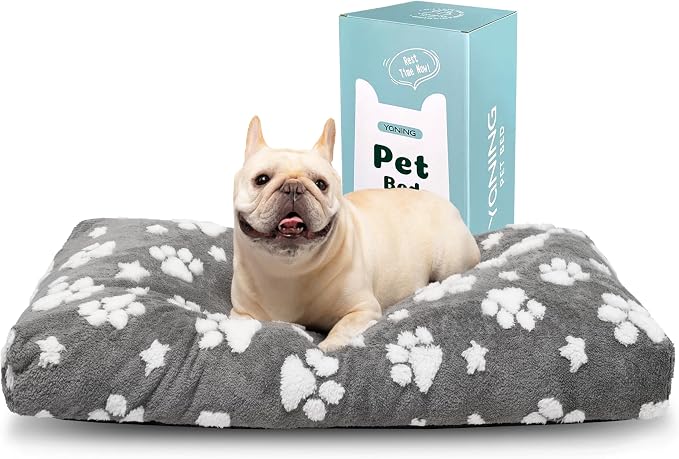 Dog Beds for Small Medium Dogs, Cute Thick Dog Bed for Crate Kennel, Fluffy Pet Bed with Removable Washable Cover and Anti-Slip Bottom, 30"x 20", Grey Paw