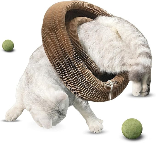 New Mint Ball Cat Scratching Board Toy, Upgrade Magnetic Interactive Kitty Toy, Shape Shifting Cardboard Cats Toys for Entertaining, Magic Organ Cat Scratcher Pads for Indoor Cats (2 pcs)