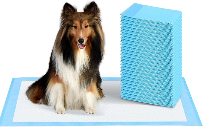 Super Absorbent Waterproof Dog and Puppy Pet Training Pad, Housebreaking Pet Pad, 50-Count Extra Middle-Size, 28’’X34’’, Blue