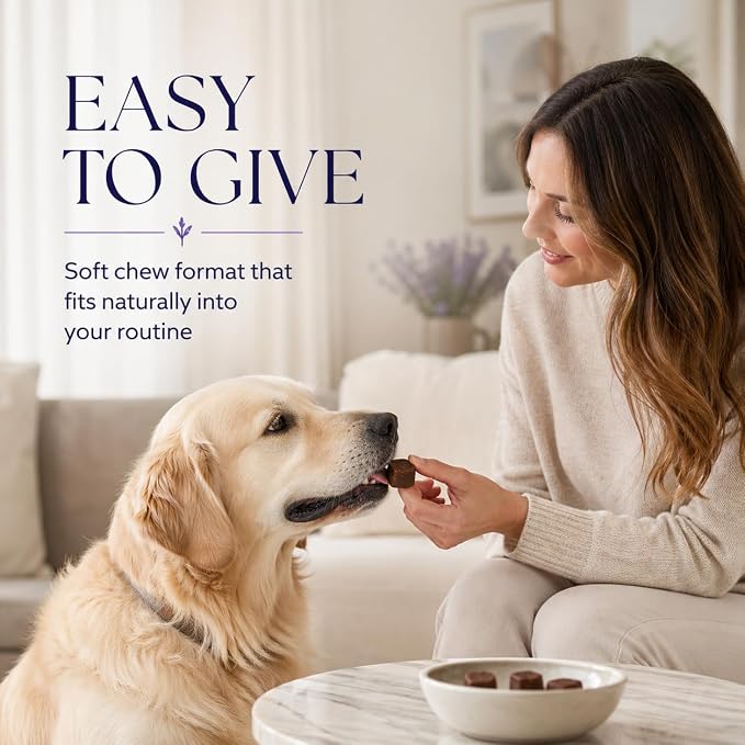 Calming Chews for Dogs – Soft Chews with Melatonin & Natural Calming Blend to Support Relaxed Behavior During Fireworks, Thunderstorms, Grooming & Travel, 60 Count