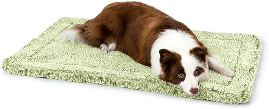 PELZIN Stoutwool Indestructible Dog Bed - Fluffy Chew Proof Dog Crate Pad - Tough Kennel Pad for Aggressive Chewers - Washable, Ideal for Large Breeds & Fits 36-Inch Crate - 35"x22", Gleam