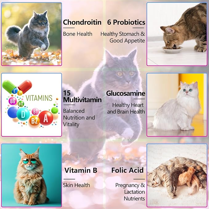 VOSIFSDIY Cat Multivitamin,15 in 1 Cat Vitamins Liquid Drops Supplements for Heart Health, Bones, Joint, Skin & Coat, Bladder, Immune System Support 60ml-2pcs
