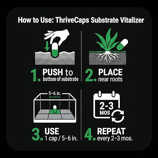 ThriveCaps Aquarium Root Caps – Premium Root Fertilizer for Live Plants – Slow Release – Strong NPK + Micros – Safe for Shrimp & Snails – 60 Count
