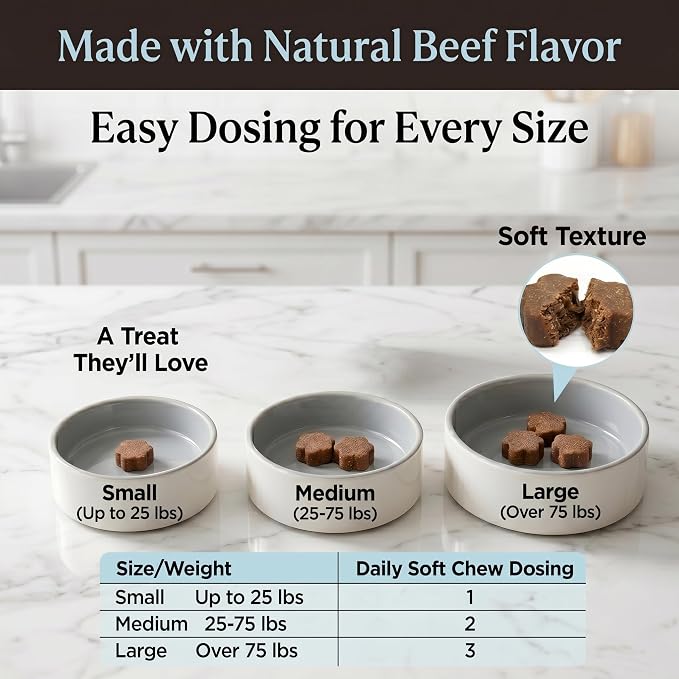 Dog Allergy Chews, Multivitamin Itch Relief Chews for Dog, Beef Flavor | With Salmon Oil, Chondroitin & Natural Vitamins, Skin and Coat Healthy, Digestive & Boost Immunity, 60 Soft Chews