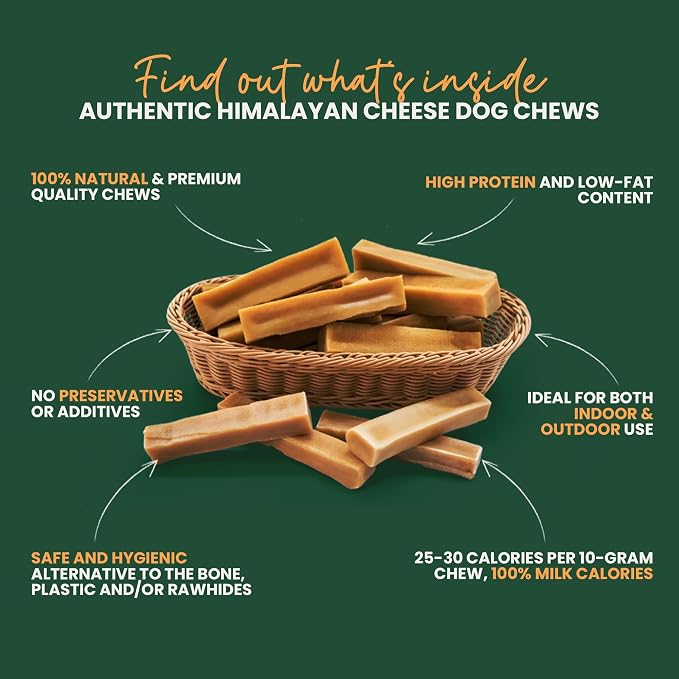 KATHMANDU'S Authentic Yak Cheese Himalayan Dog Chews - All Natural and Protein-Rich Nutrition Dog Treats, Long Lasting Chews for Aggressive Chewers, Odor Free Yak Chew | Small/Medium (Pack of 2)