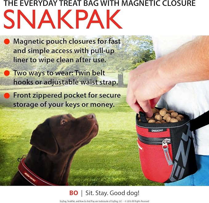 EzyDog Premium SnakPak Wearable Dog Treat Bag - Reflective Training Pouch for Nighttime Safety - Superior Storage Capacity Allows for Easy Walking, Running, and Training (Black)