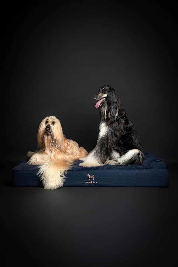 NOAH & PAW Giant Dog Bed XXL 55x45x9.5 Inch, Orthopedic Dog Beds, Eggshell Memory Foam Infused with Cooling Gel, Water Resistant, Machine Washable, Includes Inner Cover (Denim Collection)