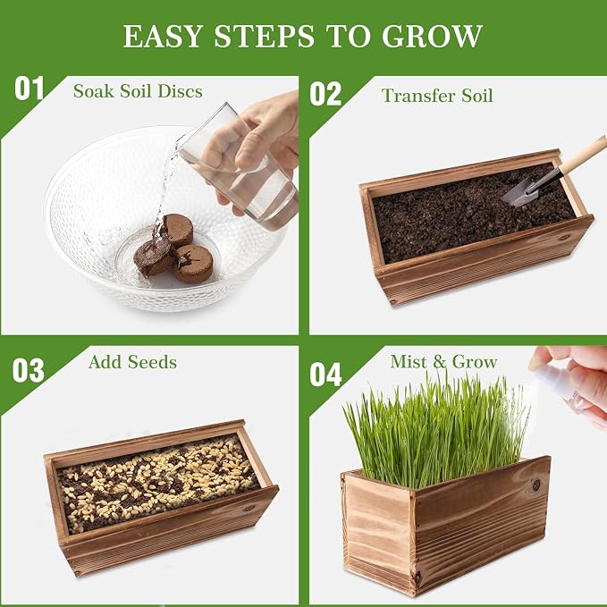 Cat Grass for Indoor Cats – x5 Seed Packets | Cat Grass Seeds with Wooden Planter, Soil & Mini Gardening Tools for Nipping– Pet Wheatgrass Grass, Gifts for Cat Lovers