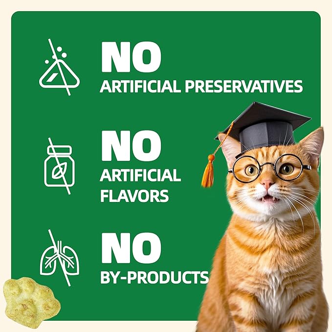 Wellix Cat Grass Treats with Catnip & Salmon - Healthy Cat Treats for Indoor Cats - Hairball Control & Digestive Support - Kittens Training Snacks for Teeth Cleaning 13.05oz