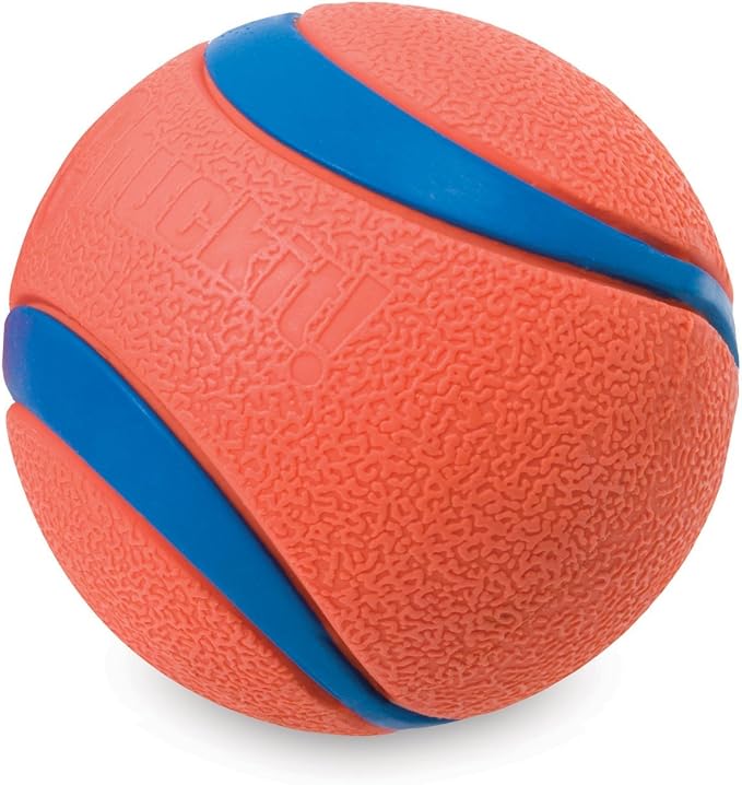 Chuckit! Medium Dog Toy Ball (6 Pack, 12 Balls Total, 2.5-Inch, Orange, Water Resistant, Medium Breeds)