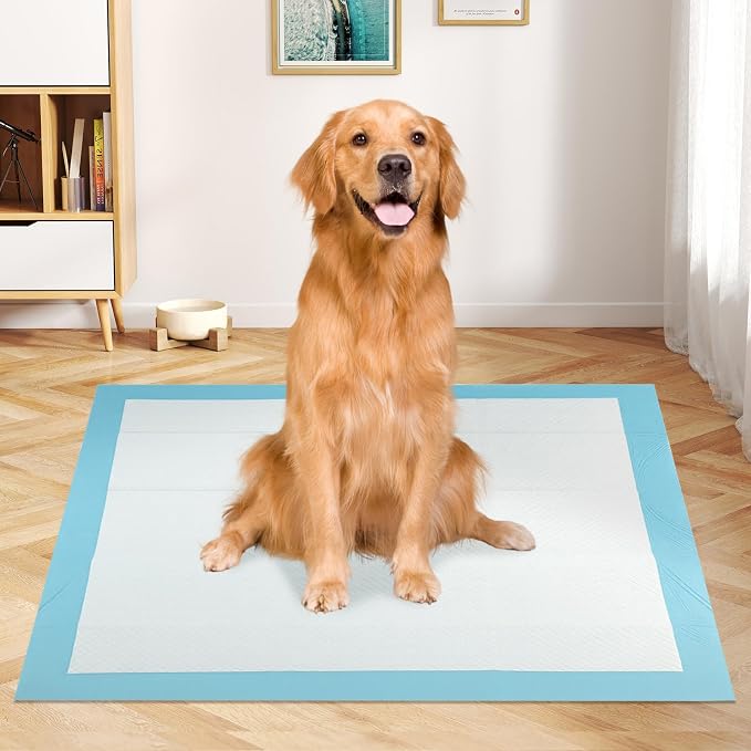 Giantex Dog Pee Pads 300 Count, 36" x 36" Extra Large Dogs Training Pads, Super Absorbent Leak-Proof Disposable Potty Pads for House Training, Indoor & Outdoor Use