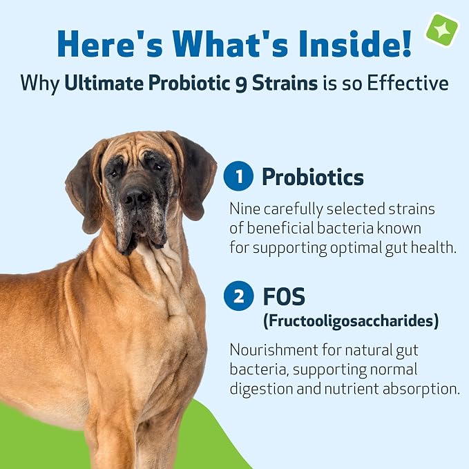 Pet Wellbeing - Ultimate Probiotic 9 Strains for Cats and Dogs - Natural Support for Digestion and Urinary Tract Health 160 Grams.