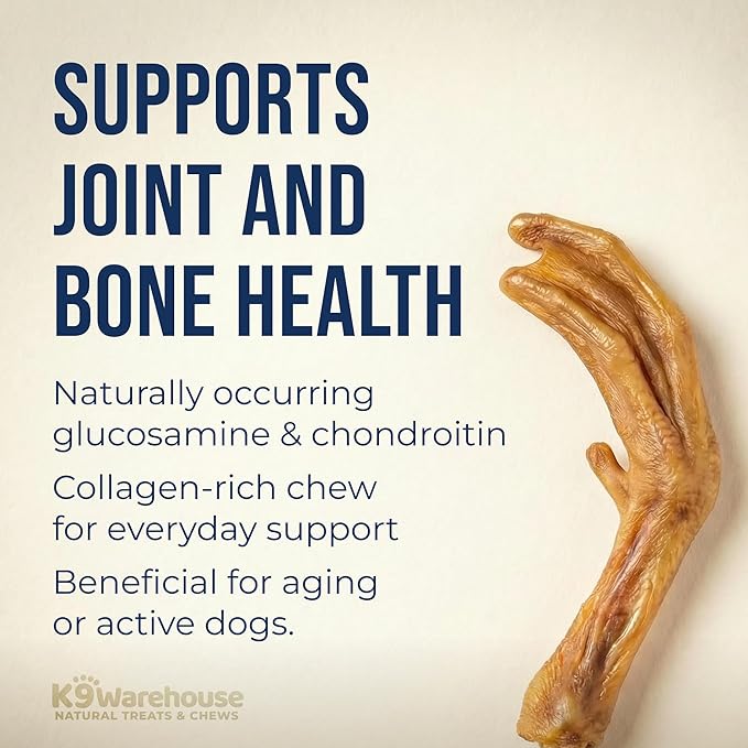 K9warehouse Duck Feet for Dogs – High Protein Dehydrated Dog Treats, Natural Crunchy Chews with Collagen, Glucosamine & Chondroitin for Joint & Hip Health, Dental Care, Small to Large Breeds (10 pcs)