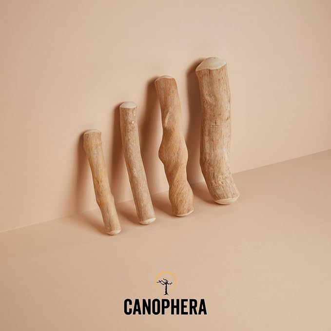 Canophera Xtra Small Dog Chew Sticks - 2 Pack of Coffee Tree Wood Chews for Healthy Teeth and Gums - All Dog Breeds