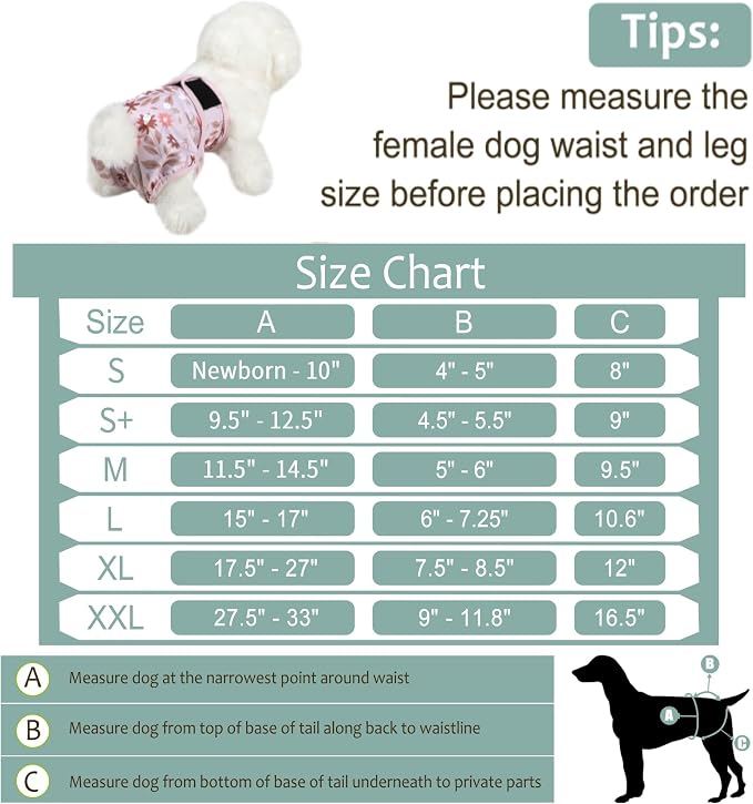 Washable Female Dog Diapers (5 Pack) - Doggie Reusable Small Medium Large Dog Diapers for Doggy Puppy Female in Period - Highly Absorbent Dog Heat Panties,S Plus,Breenish Lily Flower