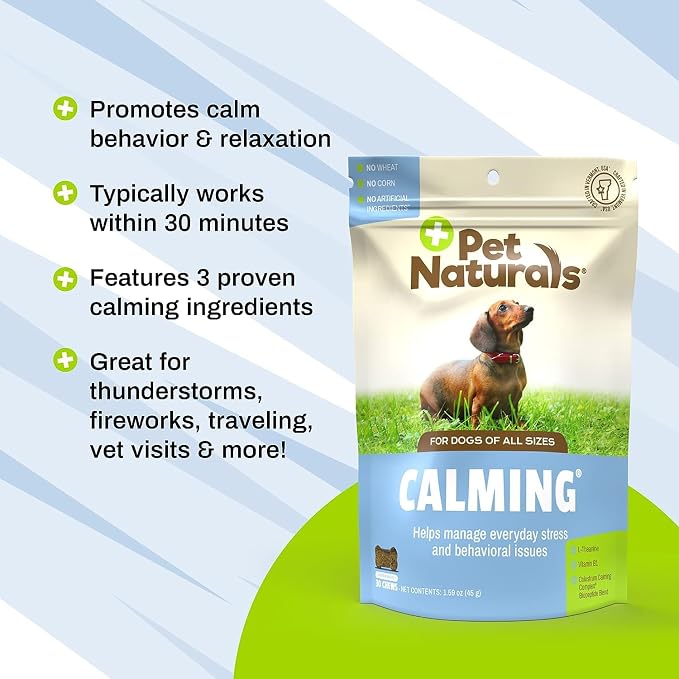Pet Naturals BusyButter Easy Squeeze Calming Peanut Butter for Dogs, 6 Pouches & Calming Treats for Dogs, 30 Chews