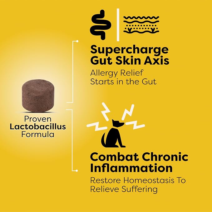 Doc Itchy: Itch Recovery Dog Probiotic Chews | L Sakei & L Paracasei | Targets Itchy Skin, Ears & Paws | Supports Yeast Balance & Gut Health | Clinical-Strength | 90 Count
