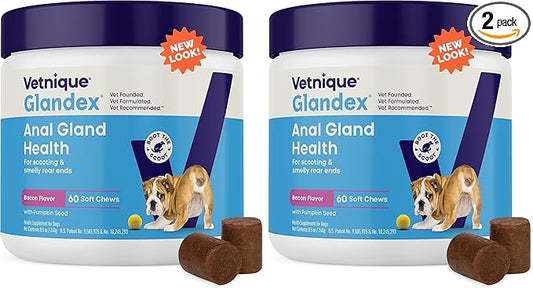 Vetnique Glandex Anal Gland Soft Chew Treats with Pumpkin for Dogs Digestive Enzymes, Probiotics Fiber Supplement for Dogs Boot The Scoot (Bacon Flavor Chews, 60 Count) (Pack of 2)