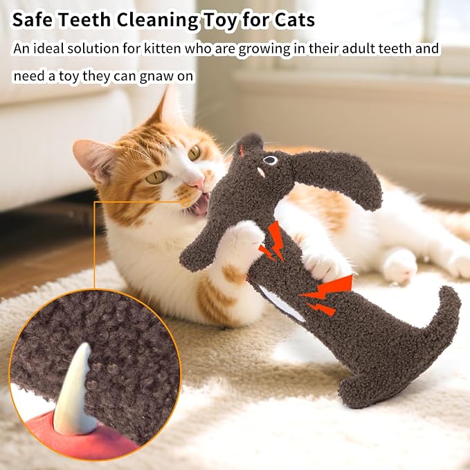 ETEKYER Cat Toys for Indoor Cats, Refillable Catnip Crinkle Kitten Toy, Carrot Pillow, Cat Nip Kitty Teeth Cleaning Toy