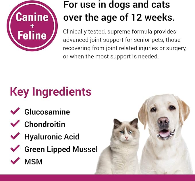Vet Classics ArthriEase-Gold Hip & Joint Support for Dogs, Cats– Pet Health Supplement Powder – Alleviates Aches, Discomfort – For Flexibility, Healthy Joint Function – Antioxidants – 1 Lb.