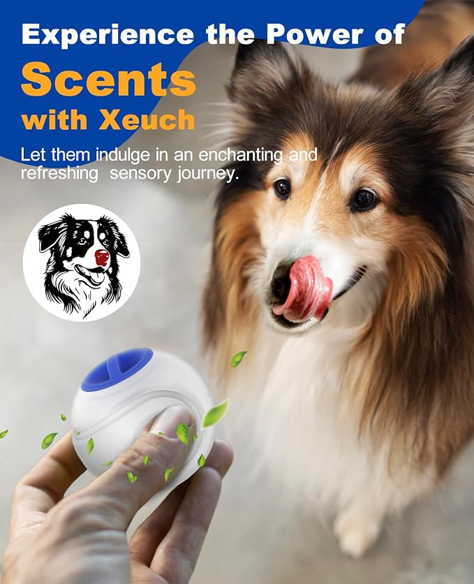 Xeuch LED Dog Ball Rechargeable, Light Up Dog Ball Toys, Bounce-Activated Durable Fetch Ball, Natural Rubber, Unique Scent, 2.5 inches, for Small & Medium Dogs (Blue)